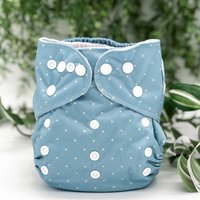 Blue Patterned Pocket Cloth Diaper - "Wellington" Print with Insert